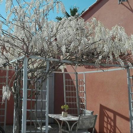 Gite Mas Uranie Le Soler Buitenkant foto