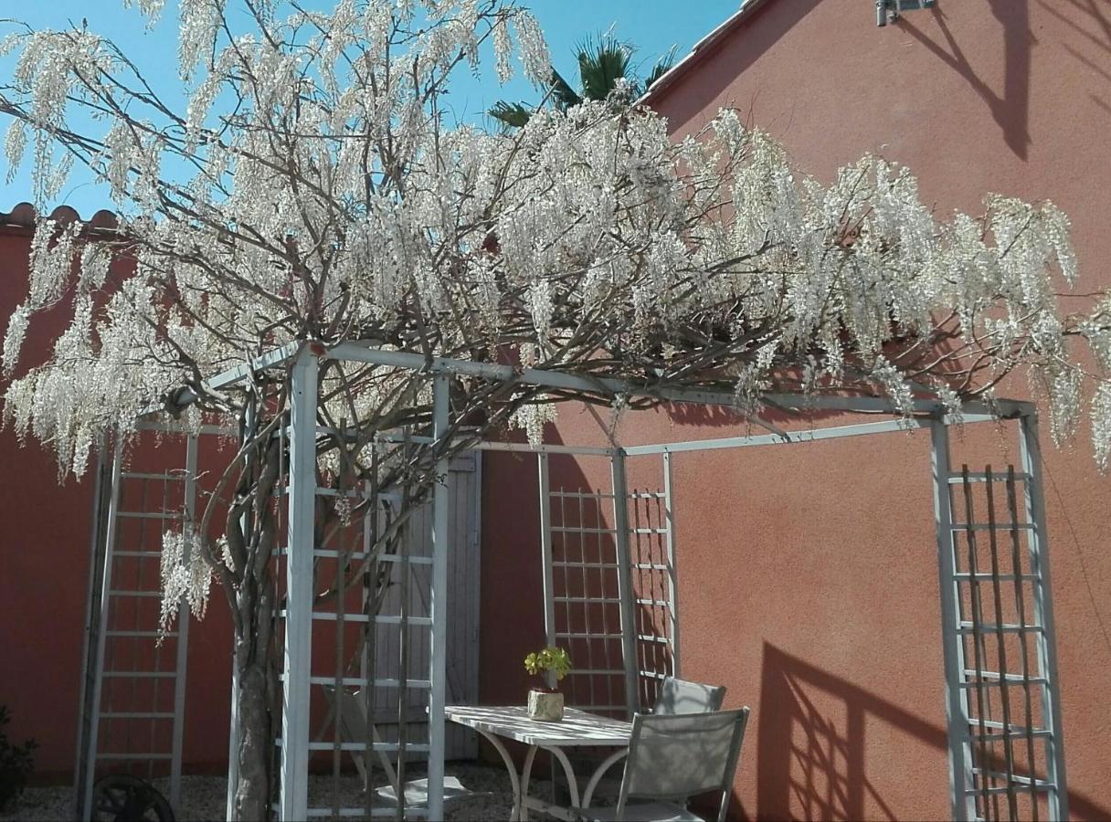 Gite Mas Uranie Le Soler Buitenkant foto