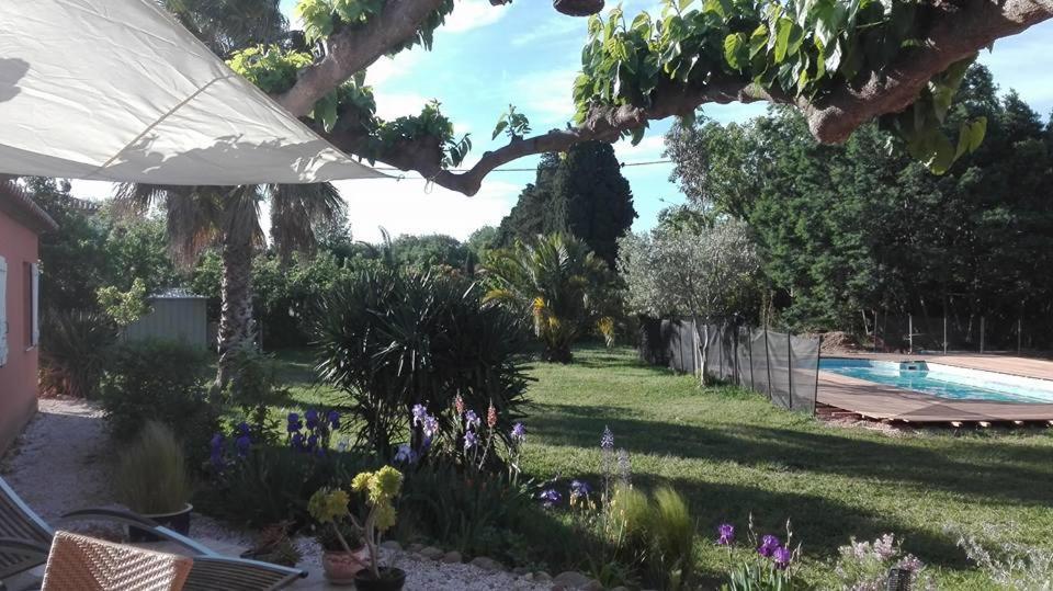 Gite Mas Uranie Le Soler Buitenkant foto